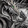 Colorize The Dragon or Not