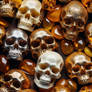 Imagine a collection of skulls