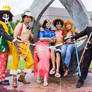 One Piece Time Skip New World Cosplay