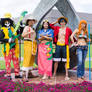 One Piece Time Skip New World Cosplay