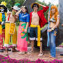 One Piece Time Skip Luffy Nami Robin Usopp Cosplay