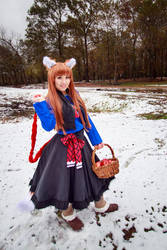 Holo with Basket of Apples, Spice and Wolf Cosplay