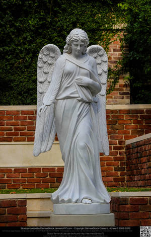 Stone Angel by DamselStock