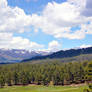 Colorado Mountains Landscape