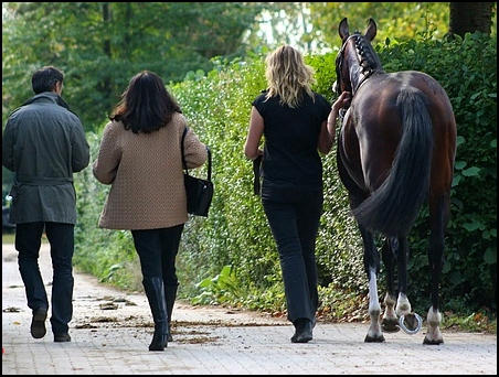 a walk in the park