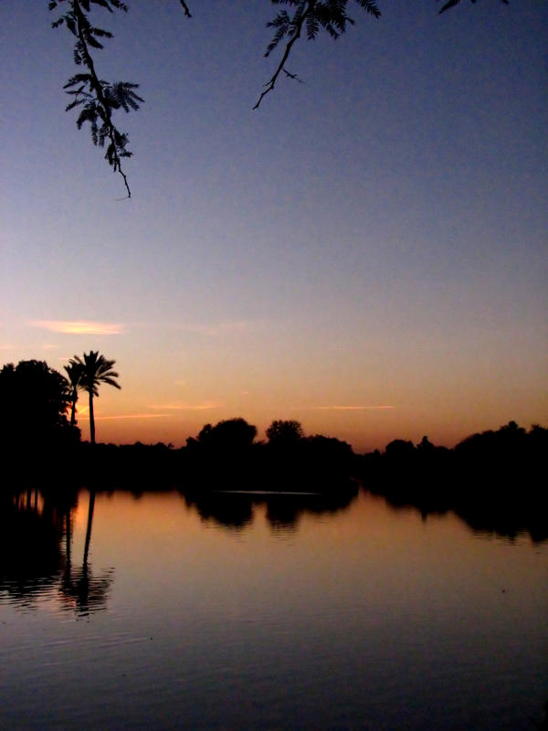 Desert Sunset