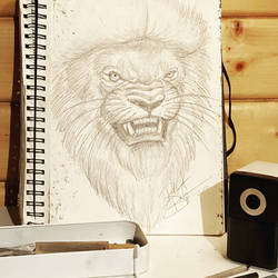 Lion head roaring sketch