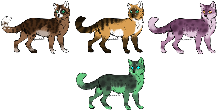 Cat Adopts :CLOSED: