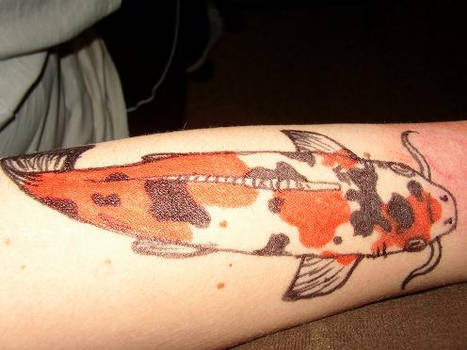 Koi Fish