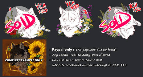 YCH: Wildflower Canines (OPEN)