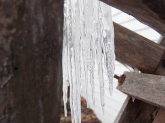 Iced wheelbarrow 3