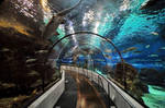 Underwater walkway by cristidev