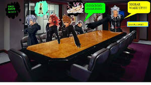 ORGANISATION XIII MEETING