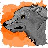 Random Wolf Avatar Free-use