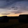 Fields at dawn