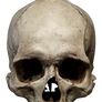unrestricted hq skull 2