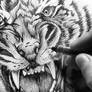 Drawing a Tiger