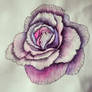 Watercolour flower