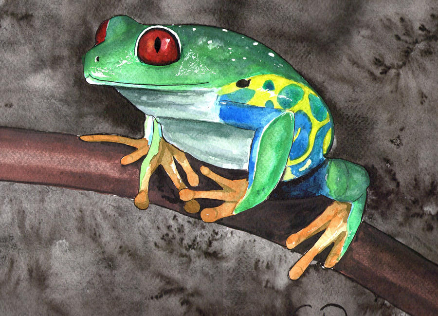 Croa Croa by MisterZ59 on DeviantArt