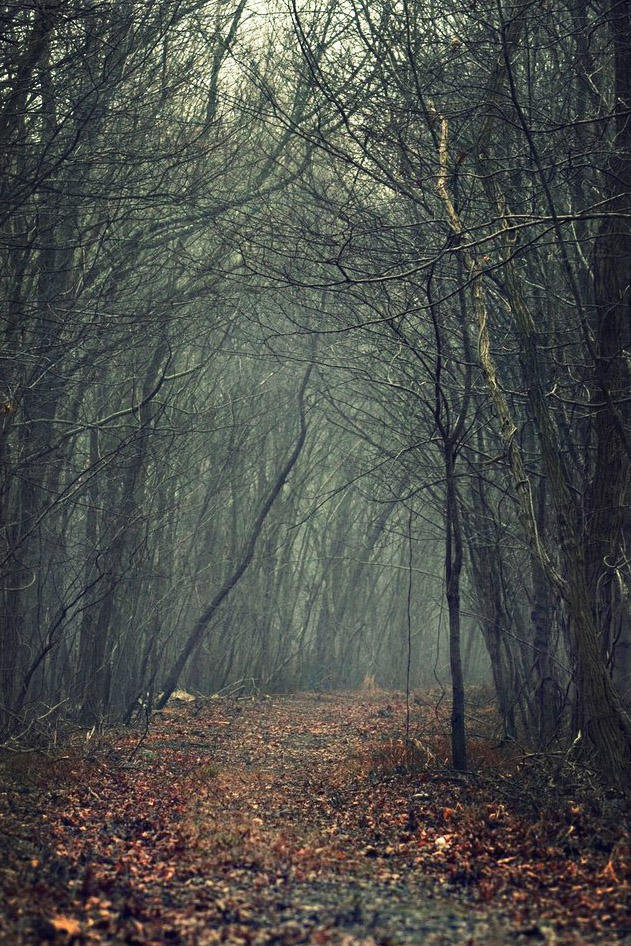 the path to nowhere by GingyRage on DeviantArt