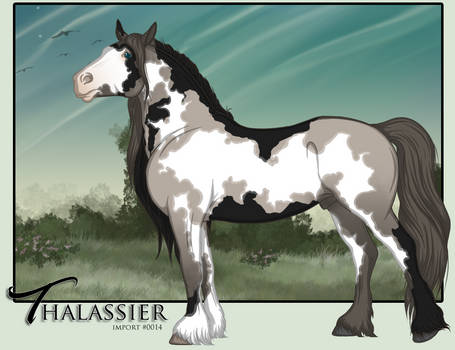 Thalassier - Import 0014