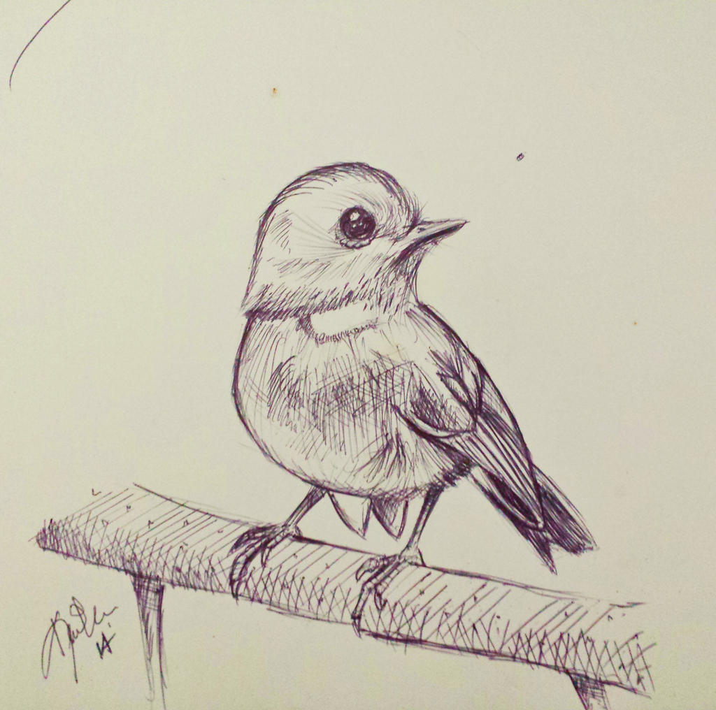 Perched Drawing Perched bird by NerdyGeekyArt on DeviantArt