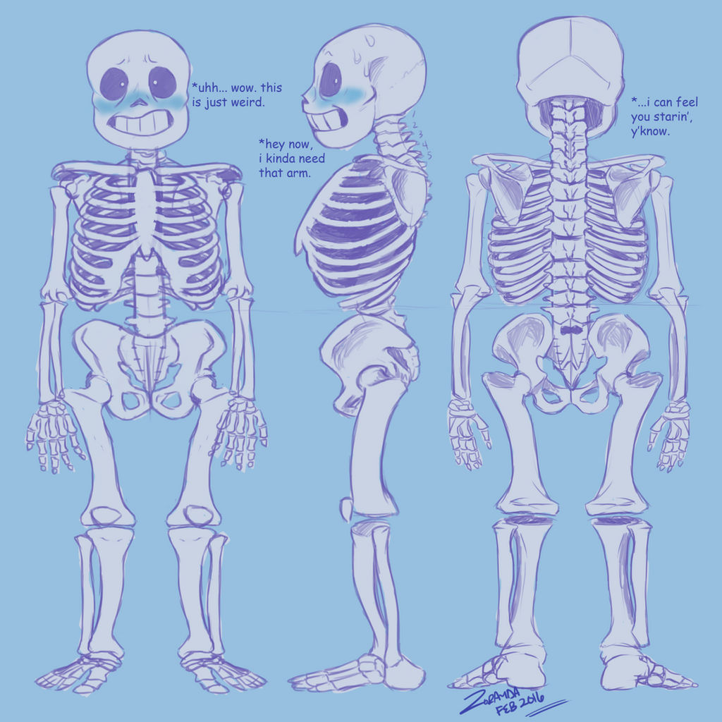 Sans Reference Model Sans Model Sheet by TheProtobabe on DeviantArt