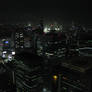 From Atop Tokyo