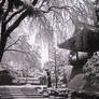 Winter at a nearby Temple