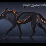 Canis Lumen Adoptable CLOSEd