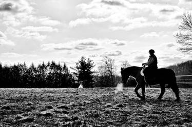 Chilly mornin for a horse ride