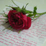The Last Note