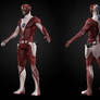 Power Ranger Concept - Red Ranger
