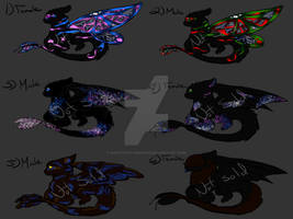 Night/Light Adopts