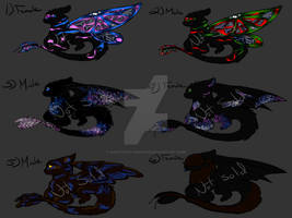 Night/Light Adopts