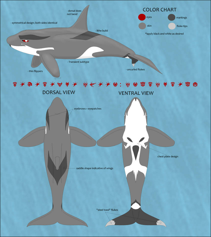Orca Color Code Ref Sheet - Orca SS by grayorca on DeviantArt