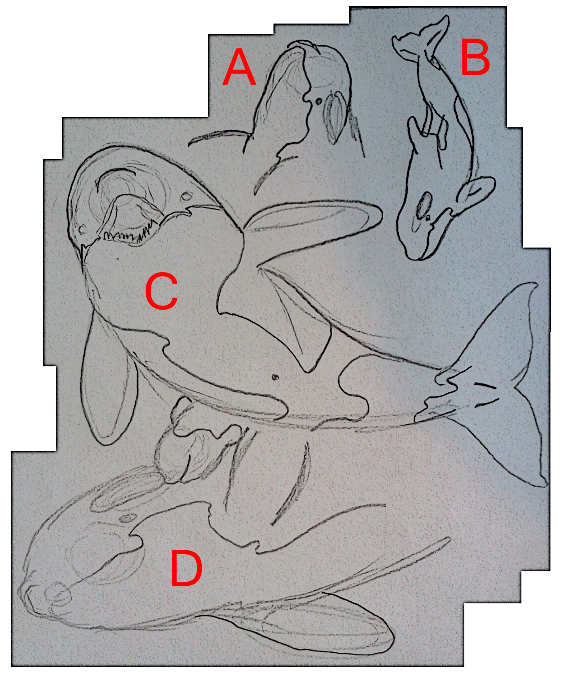 YCH Batch #1 (1 available)