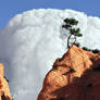 Rising Cumulus over Canyon