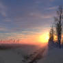 Dutch Winter Sunrise