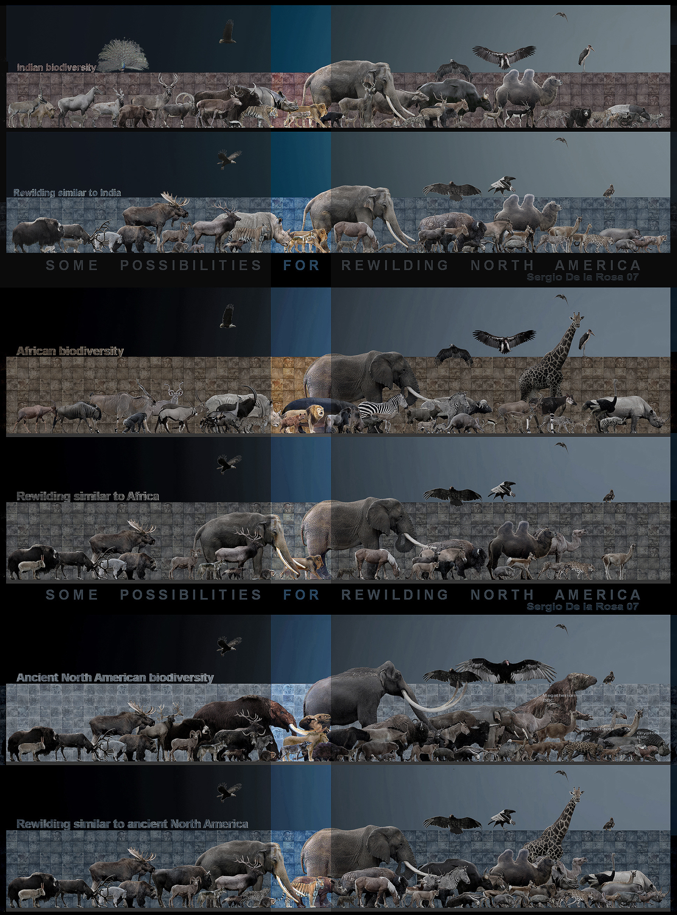 Rewilding Cartoon rewilding by serchio25 on DeviantArt