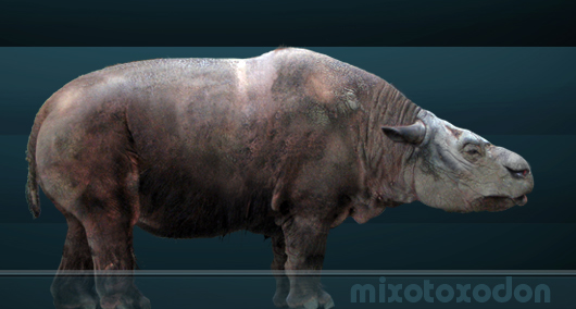 MIXOTOXODON