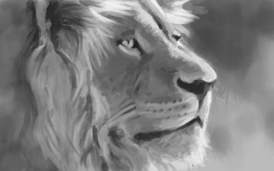 Lion-01-2015.09.06