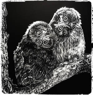 Owls hooo? - Scratchboard Artist Print