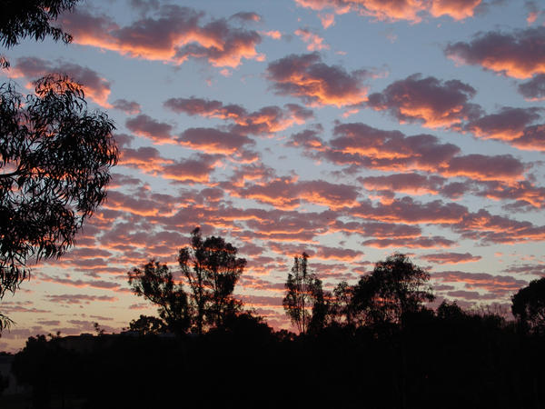 San Diego Evening