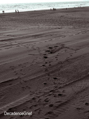 Footsteps in the Sand