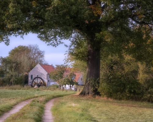 Pad naar de Schouwsmolen