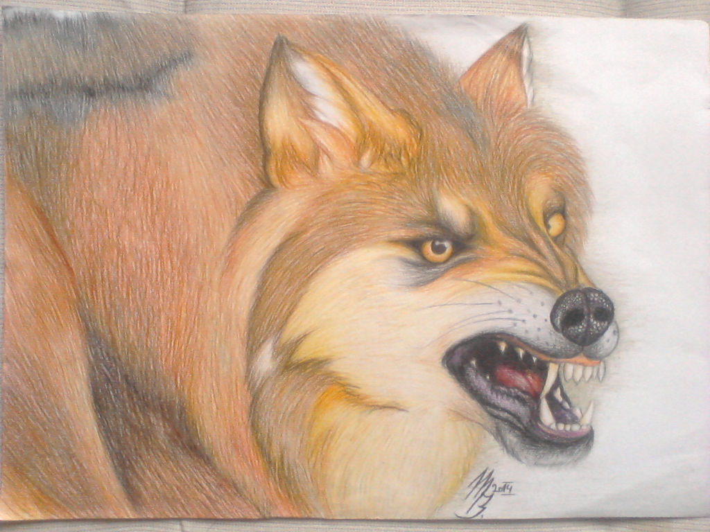 Wolf By BarboraDragon On DeviantArt