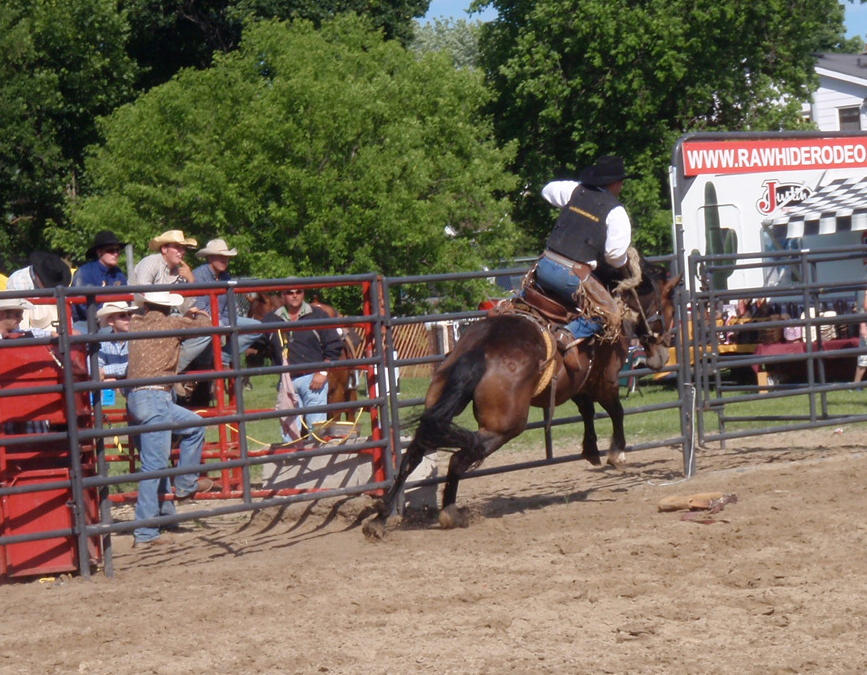 Rodeo Stock 1 by Villuminate on DeviantArt