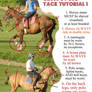 Polo Tack Tutorial 1