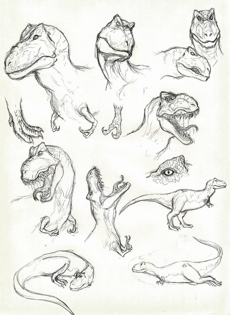 Rexy Design Some new Rexy sketches... by devilkais on DeviantArt